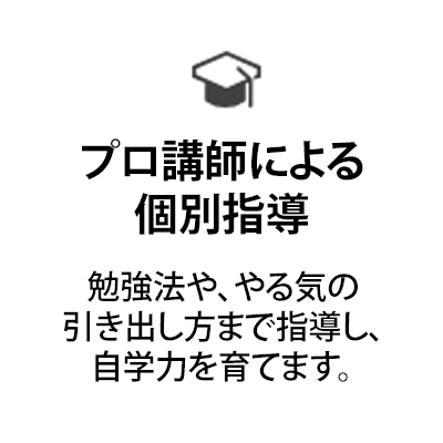 プロ講師による個別指導